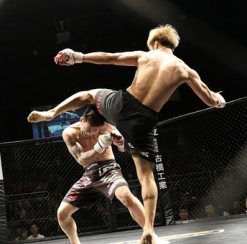Custom MMA Wears